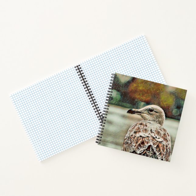 Cuaderno toony seagull (Interior)