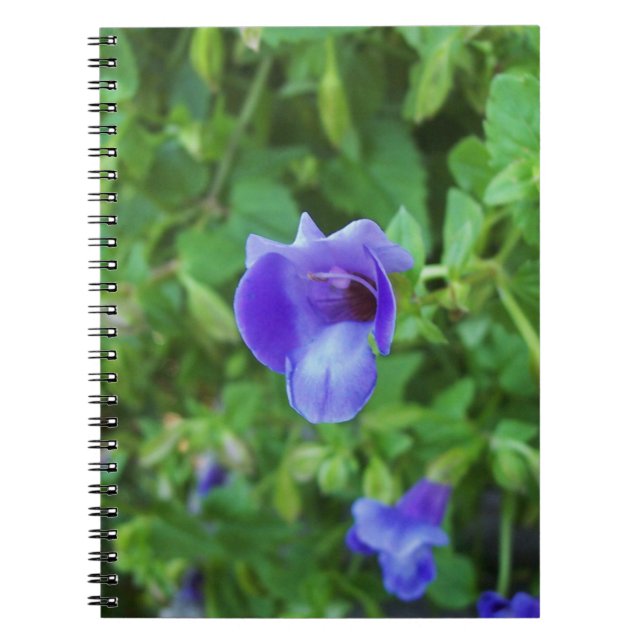 Cuaderno Torenia (Frente)