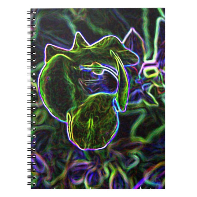 Cuaderno Torenia editada (Frente)
