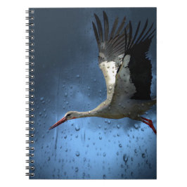 Cuaderno Tormenta
