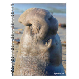 Cuaderno Toro del sello de elefante