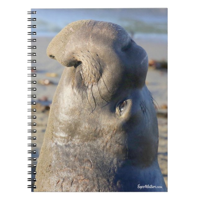 Cuaderno Toro del sello de elefante (Frente)