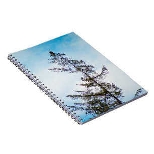 Cuaderno Torre Watch