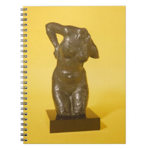 Cuaderno Torso (bronce)
