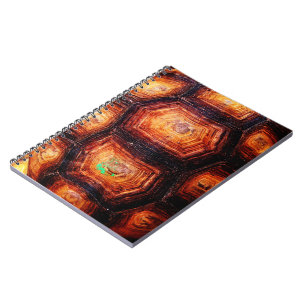 Cuaderno Tortoisse