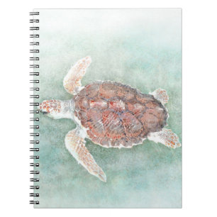 Cuaderno tortuga 2