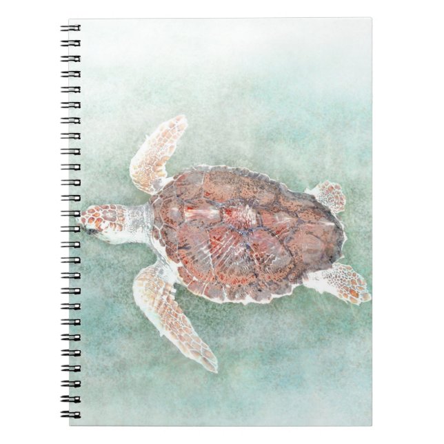Cuaderno tortuga 2 (Frente)