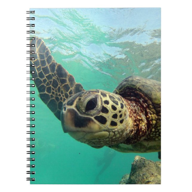 Cuaderno Tortuga de Hawaii de la bahía de Hanauma (Frente)