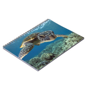 Cuaderno Tortuga de mar verde hawaiana