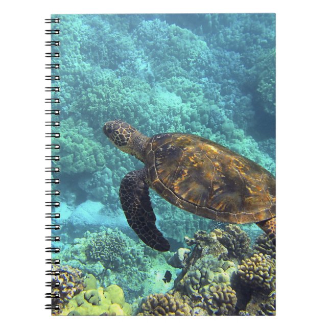 Cuaderno tortuga en el mar (Frente)