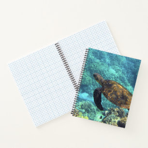 Cuaderno tortuga en el mar