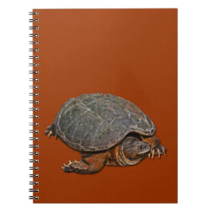 Cuaderno Tortuga encantadora de Terrapin