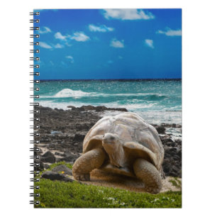 Cuaderno Tortuga grande en el borde del mar