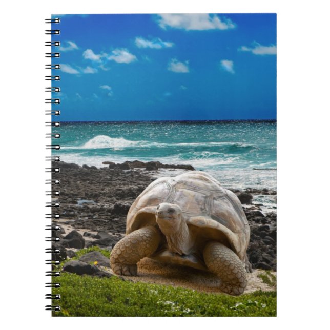 Cuaderno Tortuga grande en el borde del mar (Frente)