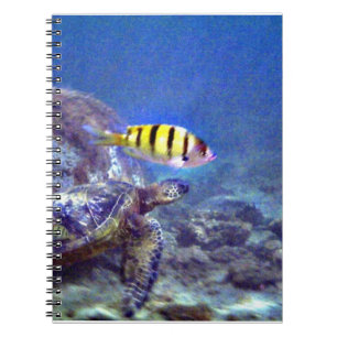 Cuaderno Tortuga marina