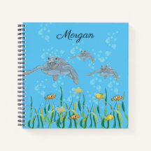 Tortuga Marina Dibujo Original Colorido Personaliz