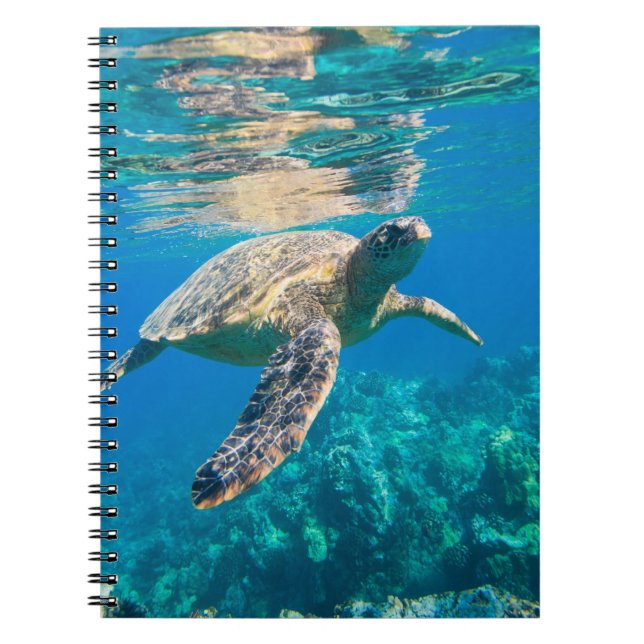Cuaderno Tortuga marina nadadora (Frente)