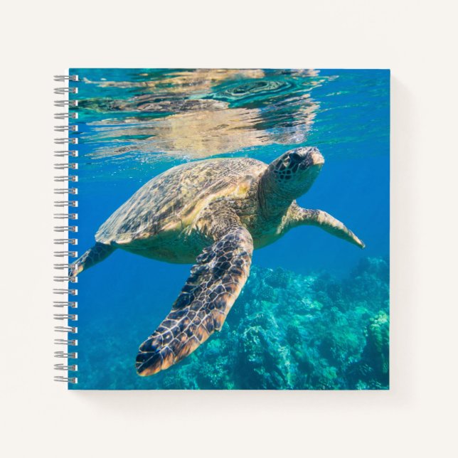 Cuaderno Tortuga marina nadadora (Anverso)