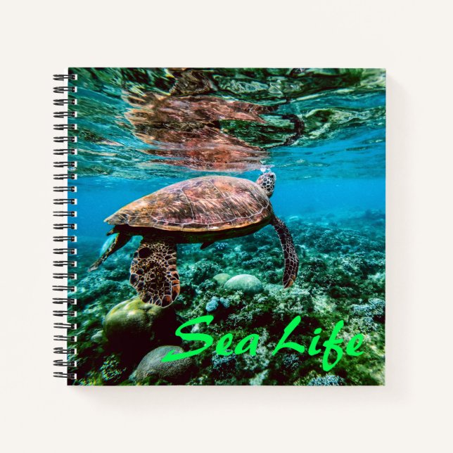 Cuaderno Tortuga marina tropical submarina (Anverso)