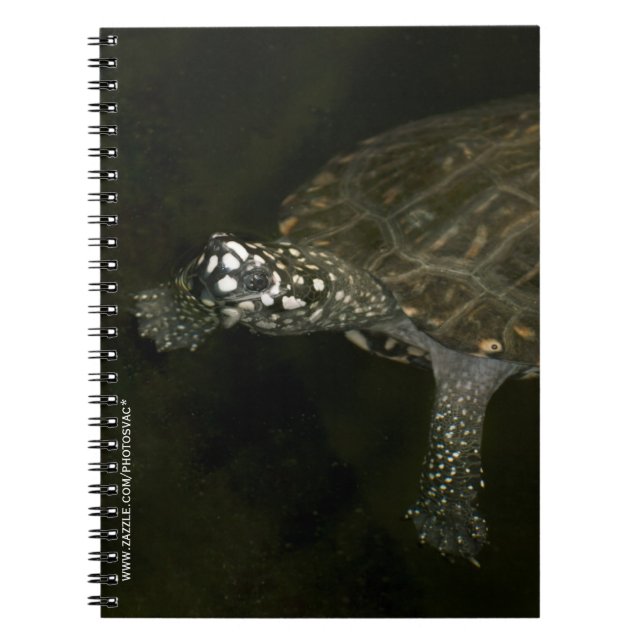 Cuaderno Tortuga nadando (Frente)