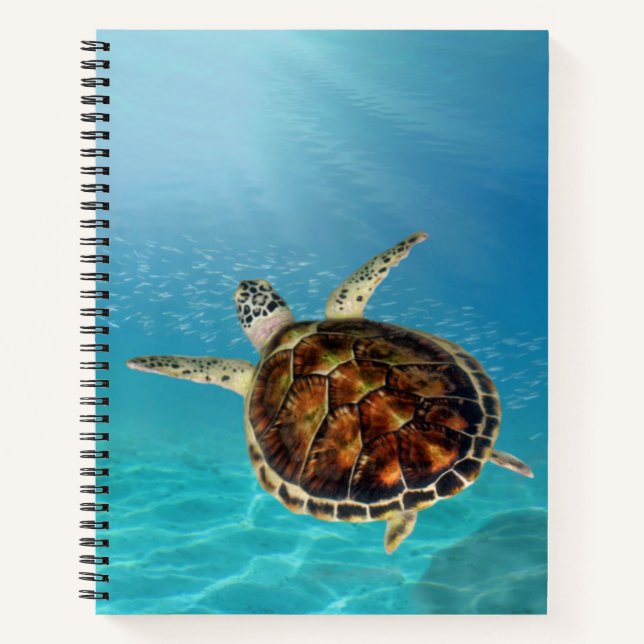 Cuaderno Tortuga nadando bajo el agua Bloc de notas espiral (Anverso)