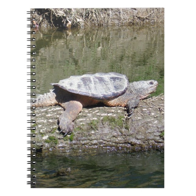 Cuaderno Tortuga Snapping (Frente)