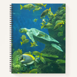 Cuaderno Tortugas