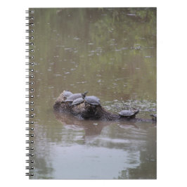 Cuaderno Tortugas