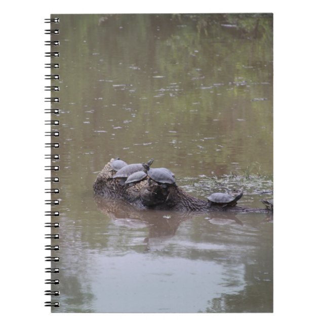 Cuaderno Tortugas (Frente)