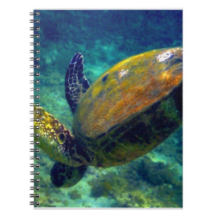 Cuaderno Tortugas de mar de Hawái