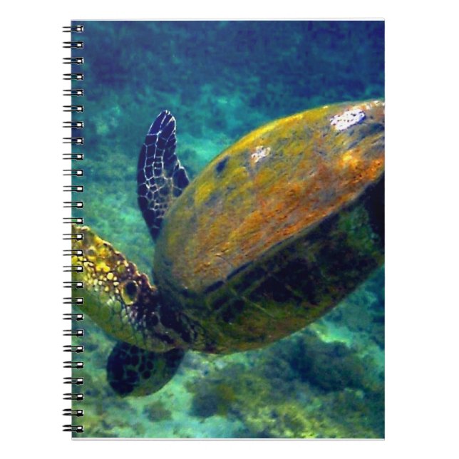 Cuaderno Tortugas de mar de Hawái (Frente)