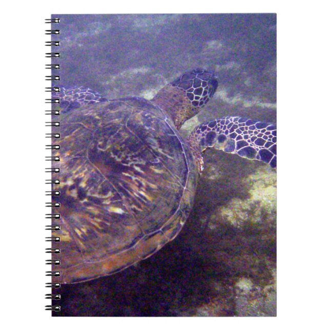 Cuaderno Tortugas de mar de Hawái (Frente)