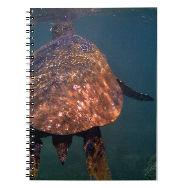 Cuaderno Tortugas de mar de Hawái (Frente)