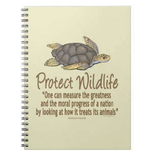 Cuaderno Tortugas marinas
