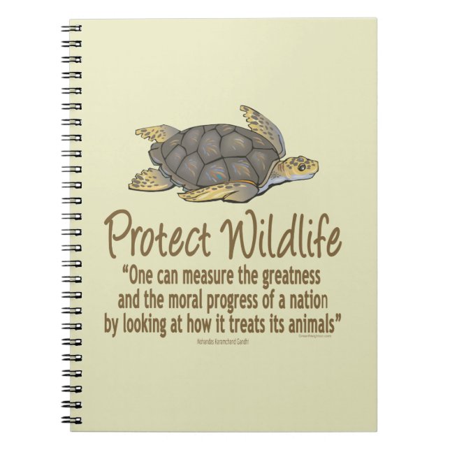 Cuaderno Tortugas marinas (Frente)