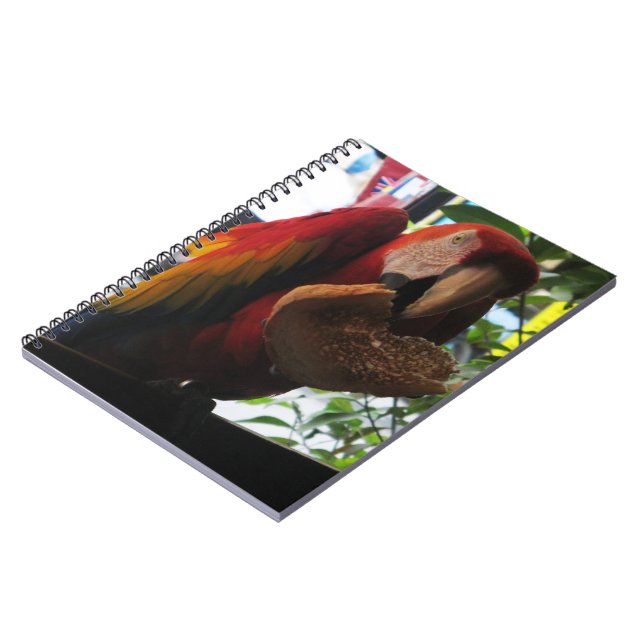 Cuaderno Tostada de loro de Macaw escarlata (Lado Izquierdo)