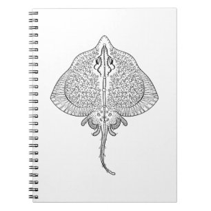 Cuaderno Tótem inspirado de la pastinaca