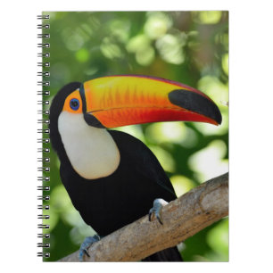 Cuaderno Toucan