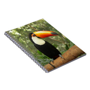 Cuaderno Toucan en la rama del árbol