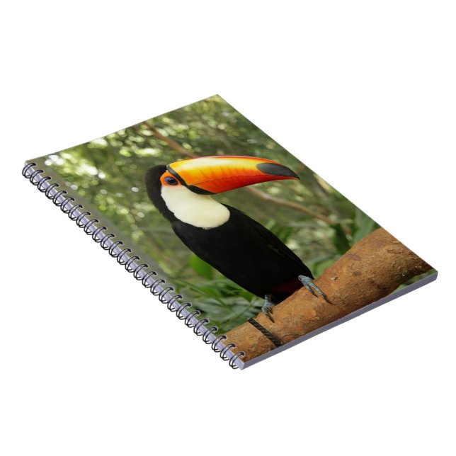 Cuaderno Toucan en la rama del árbol (Lado Derecho)