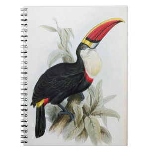 Cuaderno Toucan Rojo-Cargado en cuenta, 'de una monografía