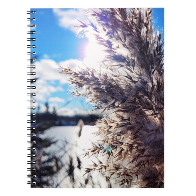 Cuaderno Tout simplement beau 1 (Frente)