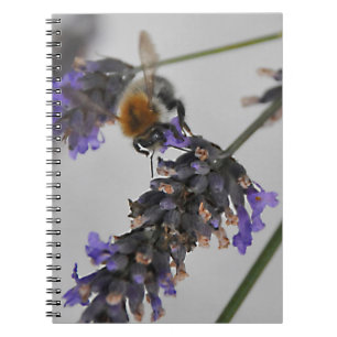 Cuaderno Trabajadores Maravillosos de la Naturaleza