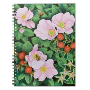 Cuaderno Trabajo 2011 del equipo