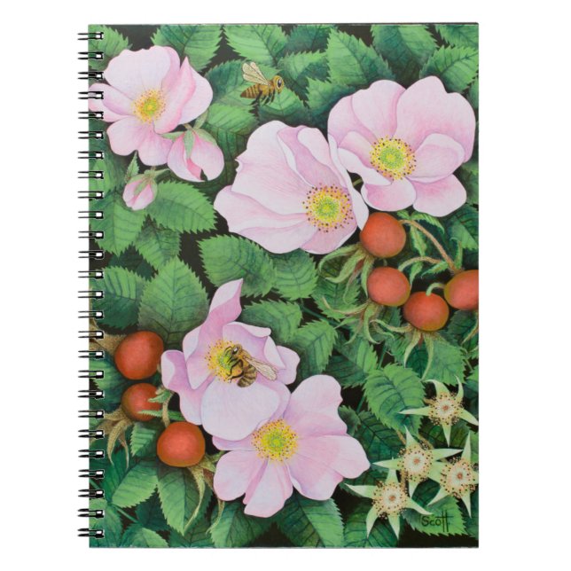 Cuaderno Trabajo 2011 del equipo (Frente)