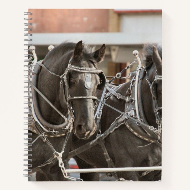 Cuaderno Trabajo en equipo (Anverso)