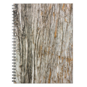Cuaderno Tráfico de árbol