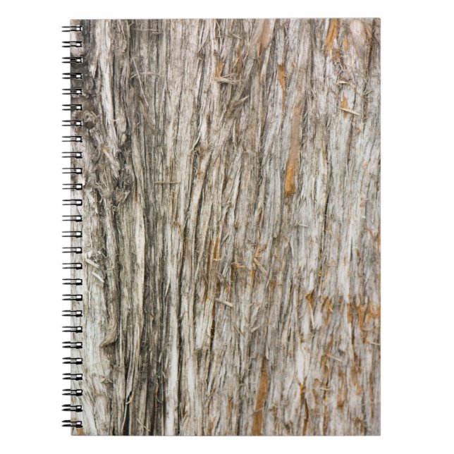 Cuaderno Tráfico de árbol (Frente)