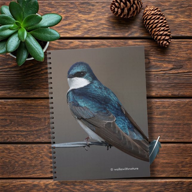 Cuaderno Tragar un árbol muy guapo: Pájaro en un cable (Handsome Tree Swallow on a Wire Journal Cover Photo)