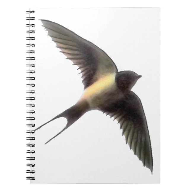 Cuaderno Tragar Volando (Frente)